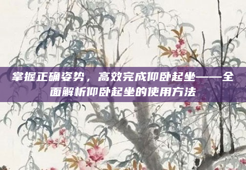 掌握正确姿势，高效完成仰卧起坐——全面解析仰卧起坐的使用方法