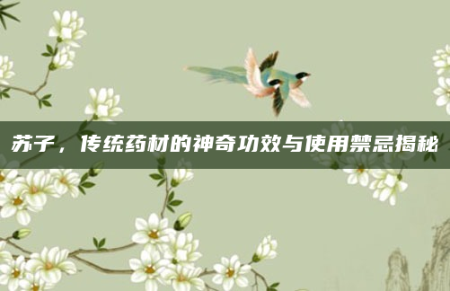 苏子，传统药材的神奇功效与使用禁忌揭秘