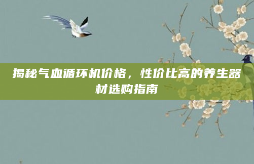 揭秘气血循环机价格，性价比高的养生器材选购指南