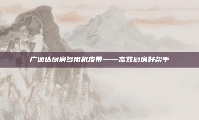 广通达厨房多用机皮带——高效厨房好帮手