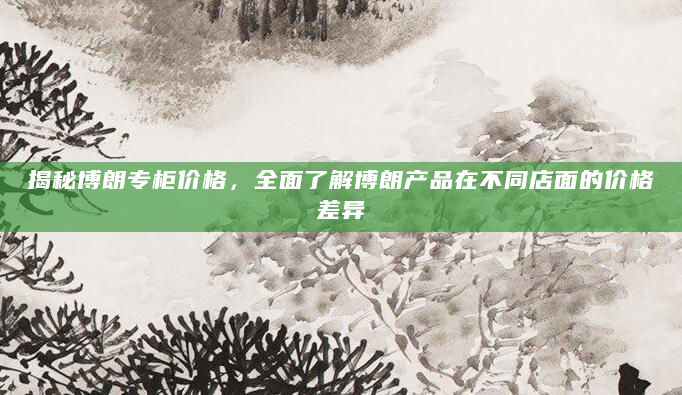 揭秘博朗专柜价格，全面了解博朗产品在不同店面的价格差异