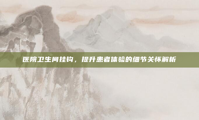 医院卫生间挂钩，提升患者体验的细节关怀解析