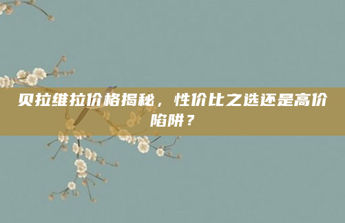 贝拉维拉价格揭秘，性价比之选还是高价陷阱？