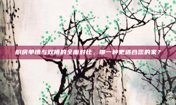厨房单槽与双槽的全面对比，哪一种更适合您的家？