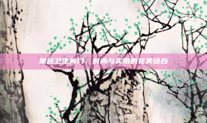 黑色卫生间门，时尚与实用的完美结合