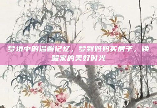 梦境中的温馨记忆，梦到妈妈买房子，唤醒家的美好时光