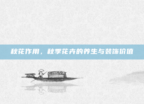 秋花作用，秋季花卉的养生与装饰价值