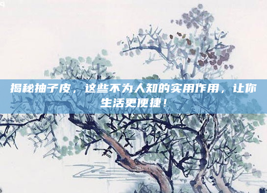 揭秘抽子皮，这些不为人知的实用作用，让你生活更便捷！