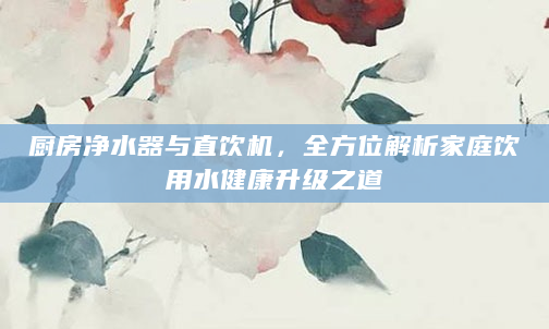 厨房净水器与直饮机，全方位解析家庭饮用水健康升级之道