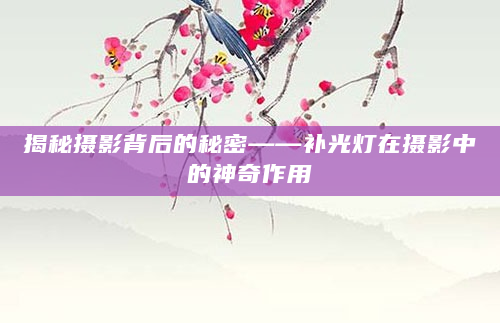 揭秘摄影背后的秘密——补光灯在摄影中的神奇作用