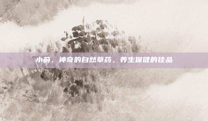 小蓟，神奇的自然草药，养生保健的佳品