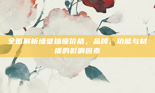 全面解析墙壁插座价格，品牌、功能与材质的影响因素