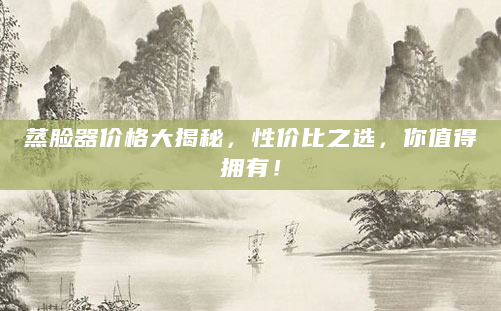 蒸脸器价格大揭秘，性价比之选，你值得拥有！