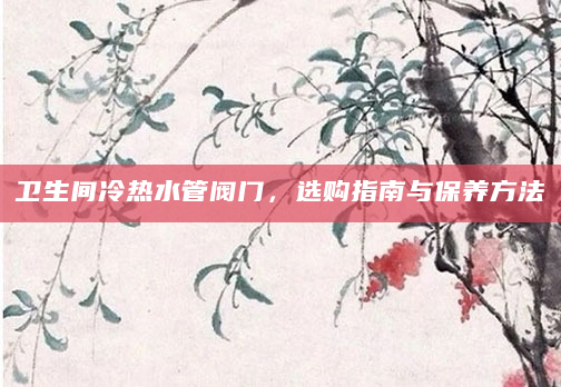 卫生间冷热水管阀门，选购指南与保养方法