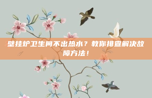 壁挂炉卫生间不出热水？教你排查解决故障方法！