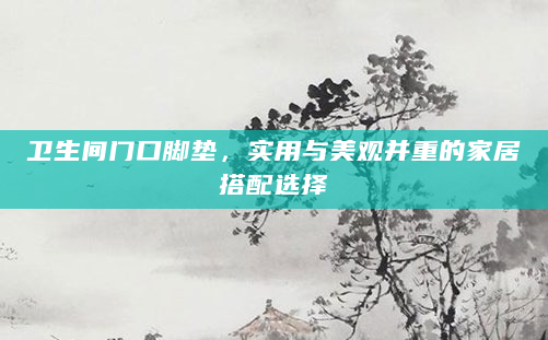 卫生间门口脚垫，实用与美观并重的家居搭配选择