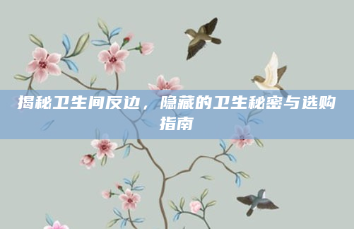 揭秘卫生间反边，隐藏的卫生秘密与选购指南