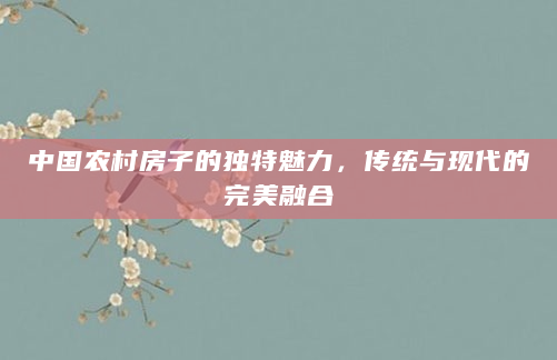 中国农村房子的独特魅力，传统与现代的完美融合