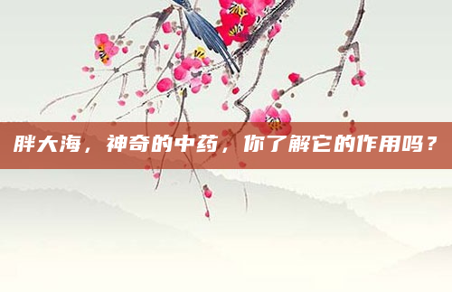 胖大海，神奇的中药，你了解它的作用吗？