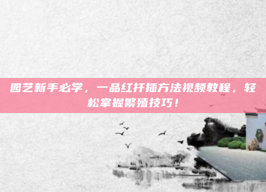 园艺新手必学，一品红扦插方法视频教程，轻松掌握繁殖技巧！