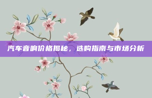 汽车音响价格揭秘，选购指南与市场分析