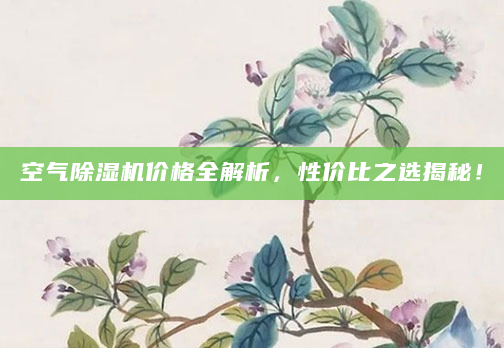 空气除湿机价格全解析，性价比之选揭秘！