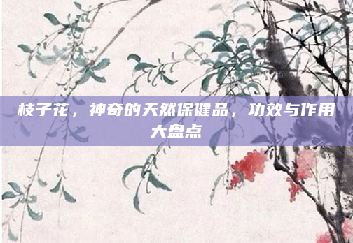 枝子花，神奇的天然保健品，功效与作用大盘点
