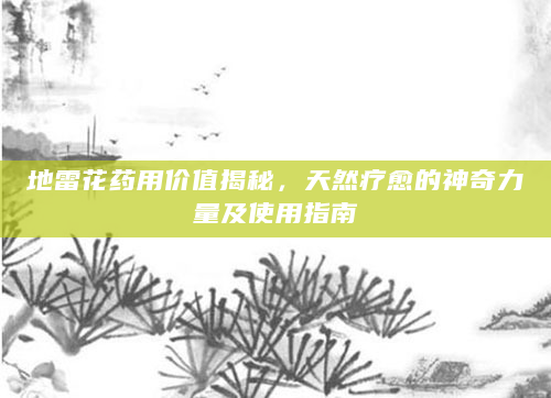 地雷花药用价值揭秘，天然疗愈的神奇力量及使用指南