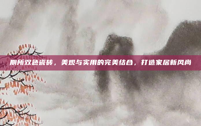 厕所双色瓷砖，美观与实用的完美结合，打造家居新风尚