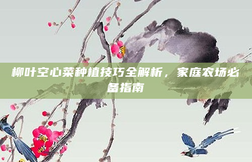 柳叶空心菜种植技巧全解析，家庭农场必备指南