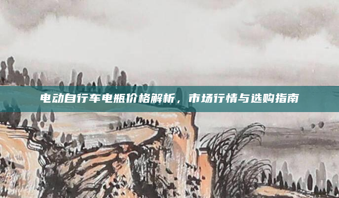 电动自行车电瓶价格解析，市场行情与选购指南