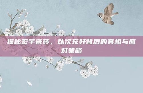 揭秘宏宇瓷砖，以次充好背后的真相与应对策略