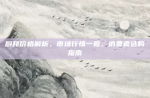 厨邦价格解析，市场行情一览，消费者选购指南