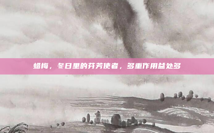蜡梅，冬日里的芬芳使者，多重作用益处多