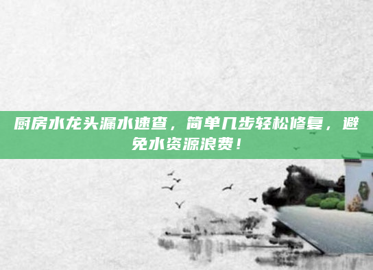 厨房水龙头漏水速查，简单几步轻松修复，避免水资源浪费！