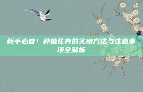 新手必看！种植花卉的实用方法与注意事项全解析