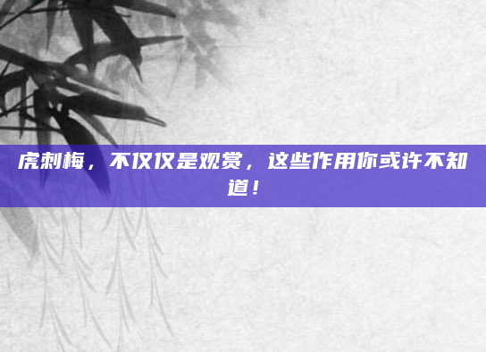 虎刺梅，不仅仅是观赏，这些作用你或许不知道！