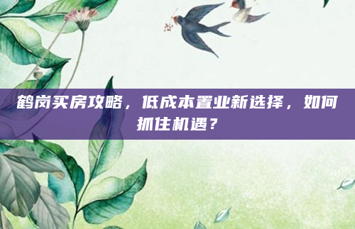 鹤岗买房攻略，低成本置业新选择，如何抓住机遇？