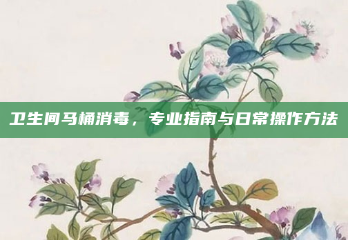 卫生间马桶消毒，专业指南与日常操作方法