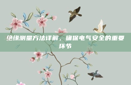 绝缘测量方法详解，确保电气安全的重要环节