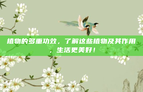 植物的多重功效，了解这些植物及其作用，生活更美好！