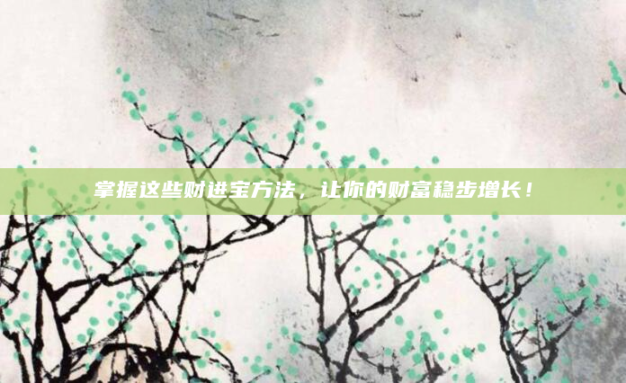 掌握这些财进宝方法，让你的财富稳步增长！