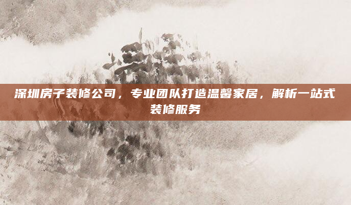 深圳房子装修公司，专业团队打造温馨家居，解析一站式装修服务