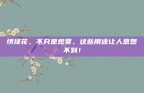 绣球花，不只是观赏，这些用途让人意想不到！