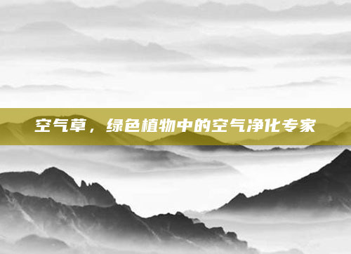 空气草，绿色植物中的空气净化专家