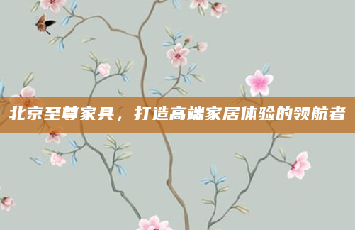 北京至尊家具，打造高端家居体验的领航者