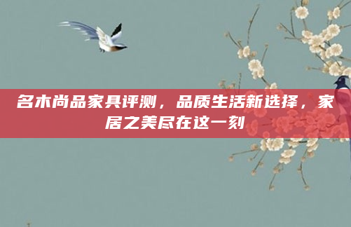名木尚品家具评测，品质生活新选择，家居之美尽在这一刻