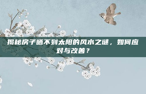揭秘房子晒不到太阳的风水之谜，如何应对与改善？