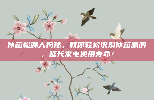 冰箱检漏大揭秘，教你轻松识别冰箱漏洞，延长家电使用寿命！