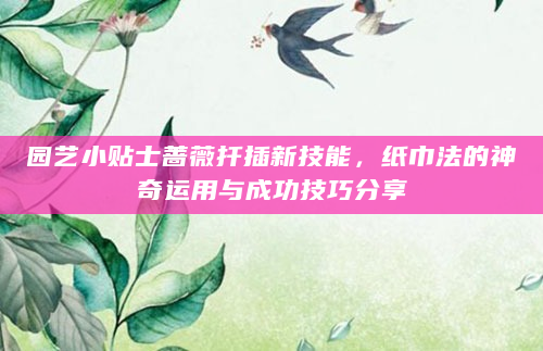园艺小贴士蔷薇扦插新技能，纸巾法的神奇运用与成功技巧分享